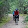 Two bicyclists in riding gear cycle through the woods on a dirt path